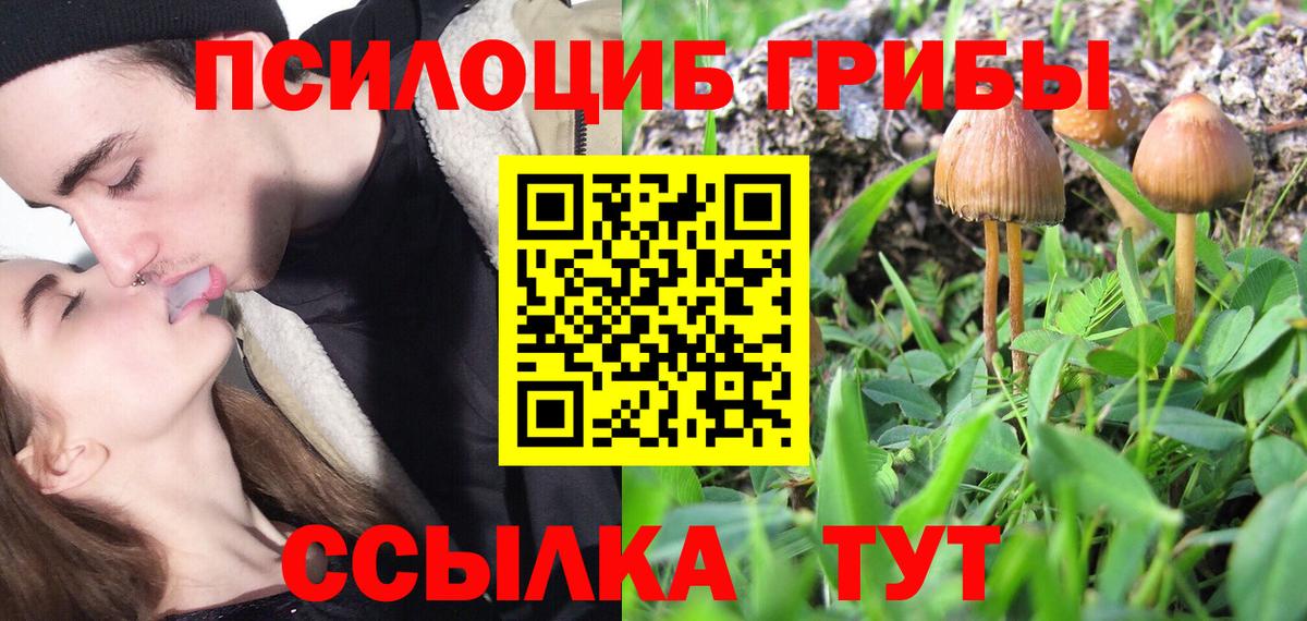 Галлюциногенные грибы прущие грибы Ефремов