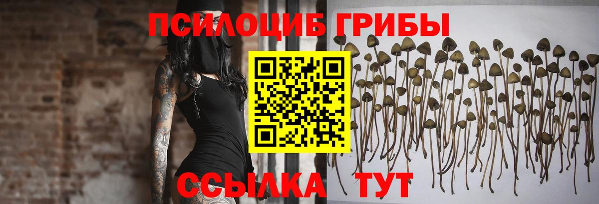 Псилоцибиновые грибы GOLDEN TEACHER  Вход с VPN  Ефремов 